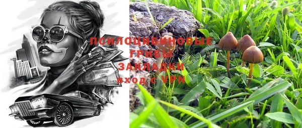 прущие грибы Лагань